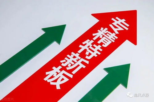 專精特新 崛起 16家績優 小巨人 獲機構扎堆關注